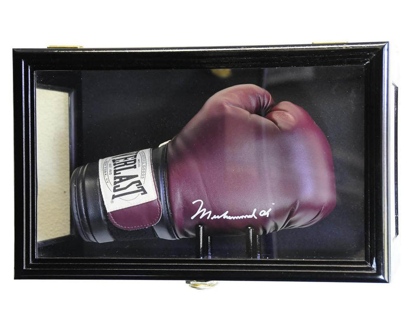 Boxing Glove Display Case (Wall Mounting/Free Standing) - sfDisplay.com