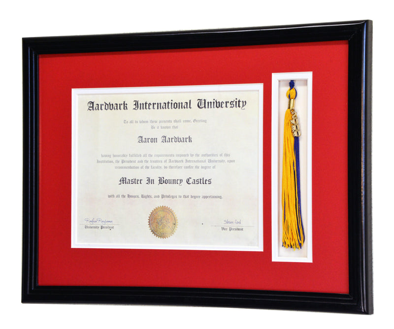 Diploma and Graduation Tassel Display Frame (w/ Custom Matting Colors) - sfDisplay.com